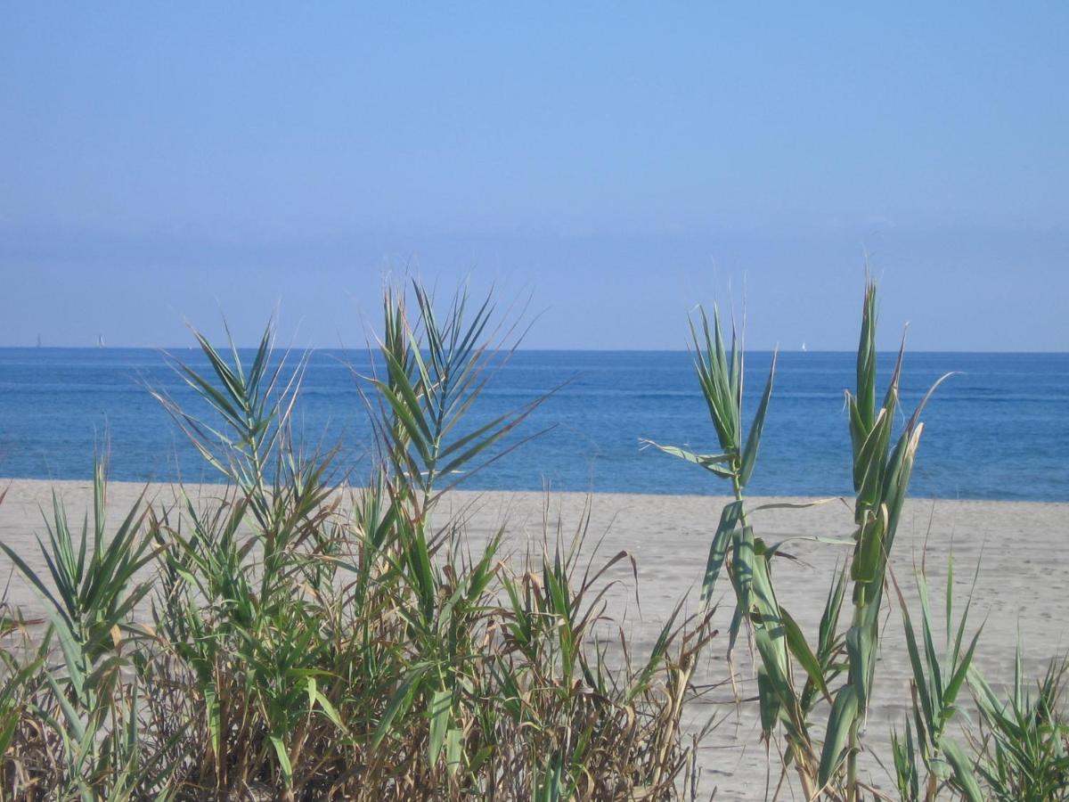 Studio Vue Sur La Mer Au 6Eme Et Dernier Etage Canet-en-Roussillon Exteriör bild